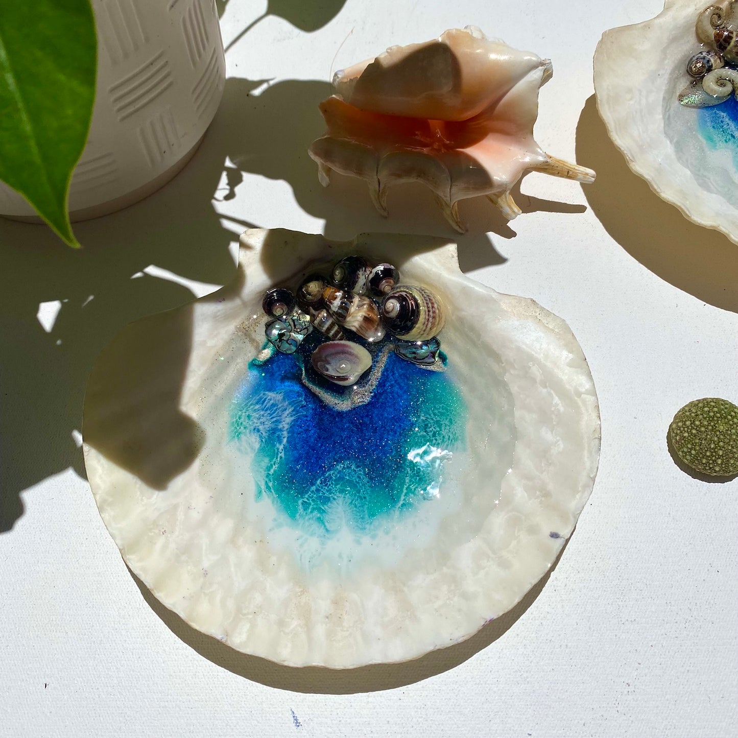 'Takapuna'- Soap Holder